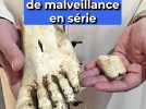 Cette église subit des actes de malveillance en série