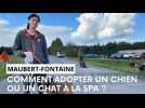 Chien ou chat, voici les modalités d'adoption à la SPA des Ardennes