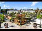 Jardin éphémère à Nancy : découvrez les coulisses de l'installation