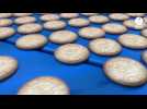 VIDÉO. Plongée dans l'usine qui fabrique les célèbres Galettes Saint-Michel