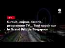 VIDÉO. F1. Circuit, enjeux, favoris, programme TV... Tout savoir sur le Grand Prix de Singapour
