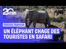 Des touristes en plein safari frôlent la mort après une charge d'éléphant