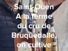 Le bon calvados de la Ferme du cru de Bruquedalle près de Gournay-en-Bray