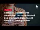 VIDEO. Cookies : les bannières demandant le consentement des internautes pourraient bientôt être supprimées