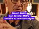 Benoist Gérard, mari de Mimie Mathy : « Je m'éclate car je cuisine pour mes vignes »