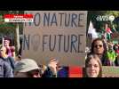 VIDÉO. Plus 500 personnes ont marché à Nantes pour «  le climat et la justice sociale »