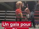 Un gala pour les dix ans du Full kick royen