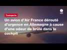 VIDEO. Un avion d'Air France dérouté d'urgence en Allemagne à cause d'une odeur de brûlé dans le cockpit