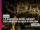 On vous dit tout sur l'arrivée du sapin de Noël de Reims place d'Erlon