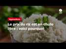 VIDEO. Pourquoi le prix du riz a été divisé par près de deux depuis 2024
