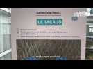 VIDÉO. La Bretagne veut 70% de poissons bretons frais dans les assiettes des lycéens