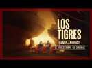 LOS TIGRES | Bande-annonce