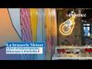 La brasserie Meteor icône strasbourgeoise, débarque à Marseille