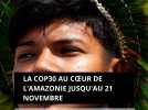 La COP30 se tient jusqu'au 21 novembre 2025, au coeur de l'Amazonie, à Belém, au Brésil