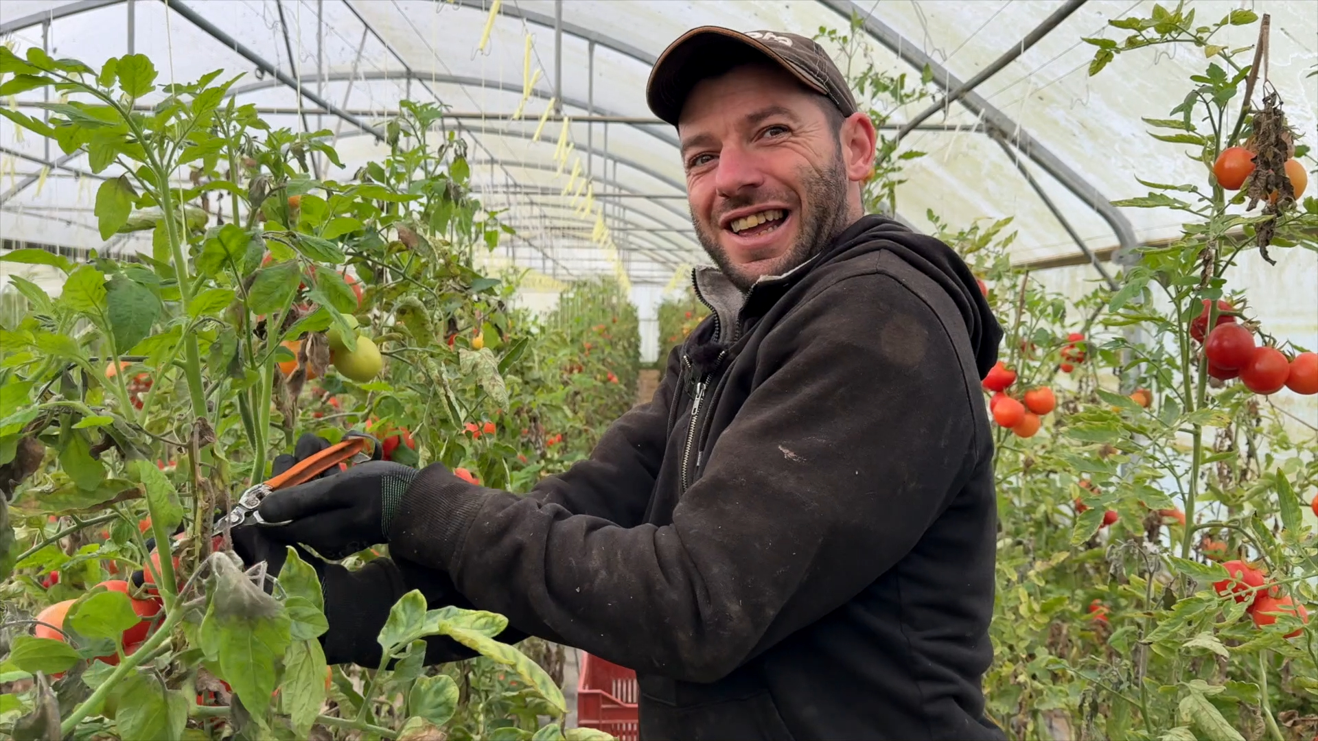 110 hectares en bio et 75 % de travailleurs handicapés, un modèle unique en Bretagne ! [Vidéo]