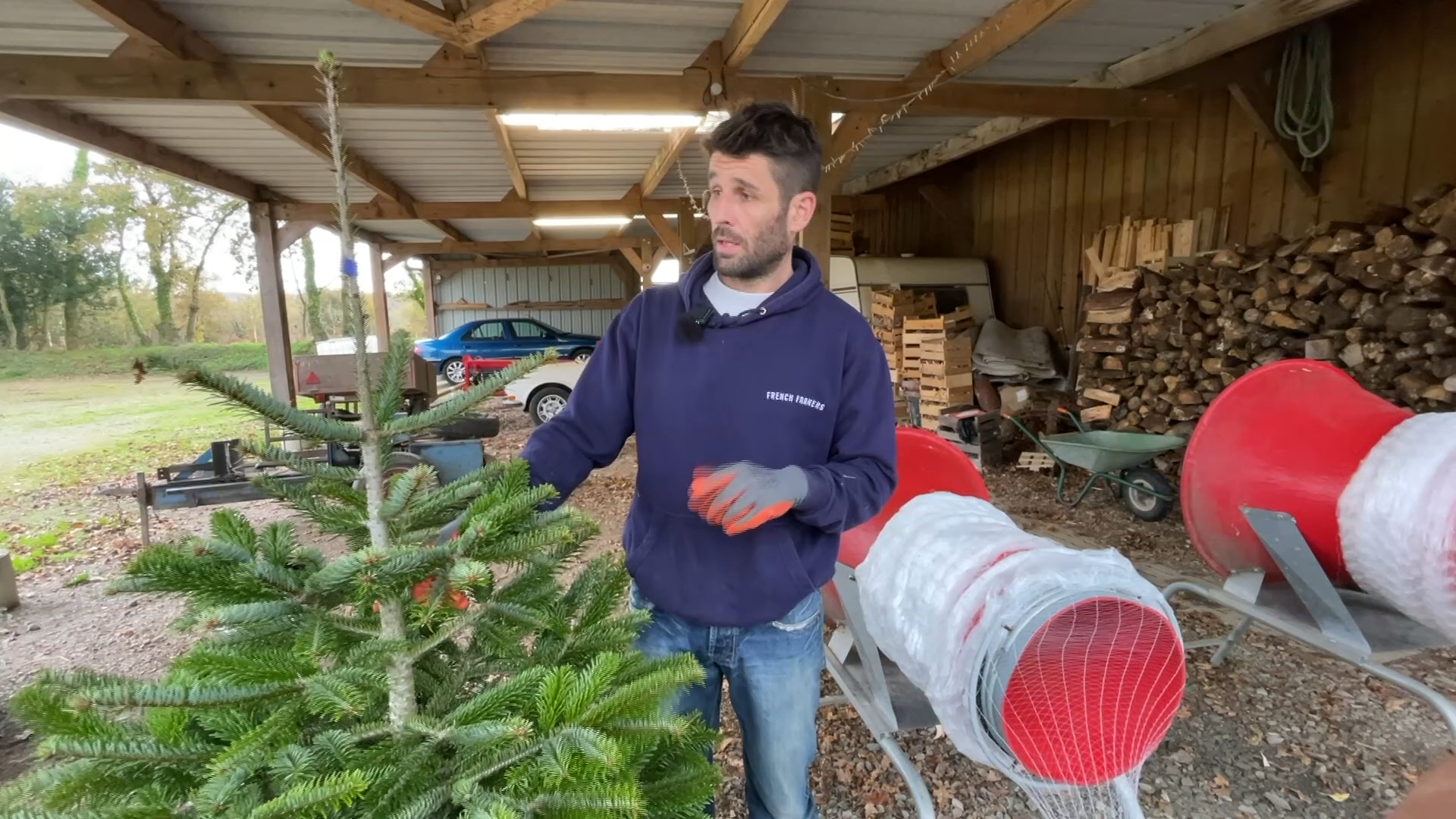 Le contre-la-montre de Noël a démarré pour ces producteurs de sapins