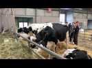 FERME EXPO / Composer avec la dermatose nodulaire et la grippe aviaire
