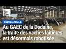 « Les vaches sont moins stressées » : au GAEC de la Dodaine, à Thivencelle, la traite est désormais robotisée