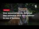 VIDEO. Une association de défense des animaux veut faire fermer le zoo d'Amiens