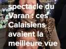 Spectacle final à Calais : vue unique chez des habitants chanceux