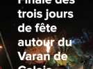 Varan de Calais : le finale a commencé
