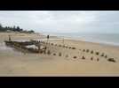 VIDÉO. Un typhon fait apparaître une épave ancienne au large d'un port historique