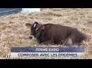 Le Journal - 14/11/2025 - FERME EXPO 2025 / Composer avec les épidémies animales