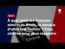 VIDEO. À quel point les Français aiment-ils Shein, la marque d'ultra fast-fashion ? Cinq chiffres pour vous répondre