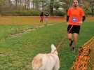 Deuxième édition de la Cani'cross'pattes à Verquigneul avec 720 participants