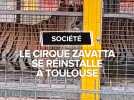 Le cirque Zavatta se réinstalle à Toulouse