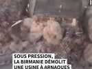 Une "usine à arnaques" détruite en Birmanie