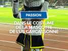 Passion : dans le costume de la mascotte de l'US Carcassonne