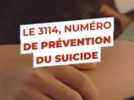 Société - Suicide : face une personne sur le point de passer à l'acte, "il faut tout faire pour éviter de perdre le contact", confie SOS Amitié Centre