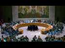 Le Conseil de sécurité de l'ONU vote pour une force internationale à Gaza