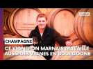 "Le plus Bourguignon des Champenois !" : près de Reims, ce vigneron travaille aussi en Bourgogne