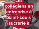 Les collégiens de Louise Michel Roye visitent l'entreprise Saint-Louis