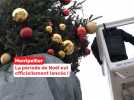 Noël est officiellement lancé à Montpellier : le sapin géant a été installé place de la Comédie
