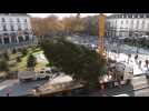 FESTIVITÉS DE FIN D'ANNÉE / Le grand sapin prend ses quartiers d'hiver, place Jean Jaurès à Tours