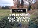 Toulouse : le cynodrome, dégradé en 2024, n'existe plus