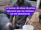 Ce fermier de retour de prison découvre que ses animaux ont été abandonnés