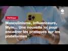 VIDEO. Masculinisme, influenceurs, Mym... Une nouvelle loi pour encadrer les pratiques sur les plateformes