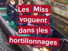 Les Miss en balade dans les hortillonnages à Amiens