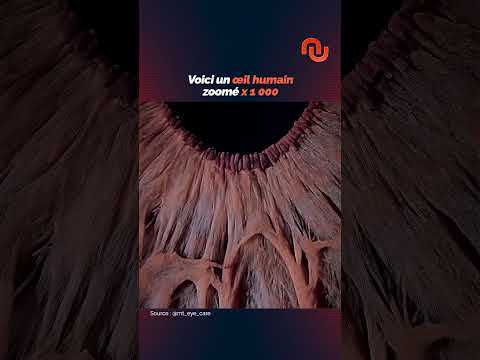 Voici ton œil zoomé 1000 fois ! #shorts