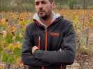 Benjamin Herpe vigneron en bio