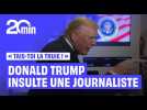 Affaire Epstein : Donald Trump insulte une journaliste de « truie »
