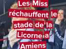 Les Miss réchauffent le stade de la Licorne à Amiens