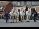 Wittes : les chevaux paradent à l'occasion de la foire aux poulains