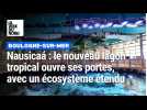 Boulogne-sur-Mer : e nouveau lagon de Nausicaa ouvre ses portes, avec un écosystème tropical étendu