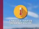 Tout ce qu'il faut savoir sur la canicule