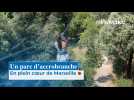 Un parc d'accrobranche en plein coeur de Marseille
